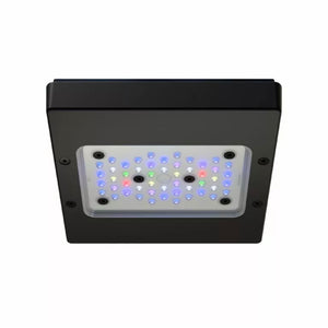 Radion XR15 G6 Pro LED Light Fixture