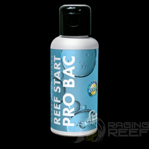 REEF START PRO BAC